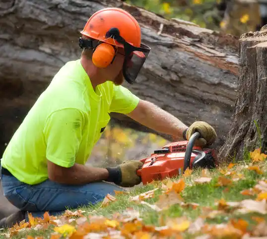 tree services Novinger